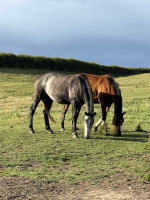 att.C-KiYydyzS49xEGCUKXTOLnkWy8RoW9oc4Way7YD6UI.jpeg att.C-KiYydyzS49xEGCUKXTOLnkWy8RoW9oc4Way7YD6UI.jpeg