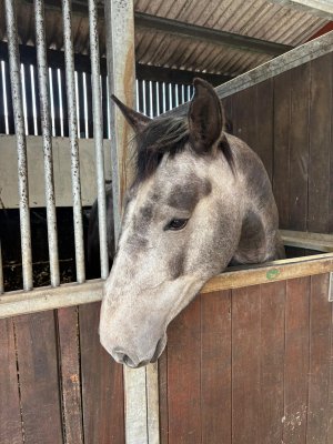 d83a3428-6bc5-4cdd-922c-90012412b99c.jpeg d83a3428-6bc5-4cdd-922c-90012412b99c.jpeg