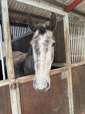 a06cdac6-5102-4d68-b0d5-9faed3fa5ace.jpeg a06cdac6-5102-4d68-b0d5-9faed3fa5ace.jpeg