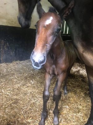 270ff284-2834-4bac-9cd3-2deaf9fb48dc.jpeg 270ff284-2834-4bac-9cd3-2deaf9fb48dc.jpeg