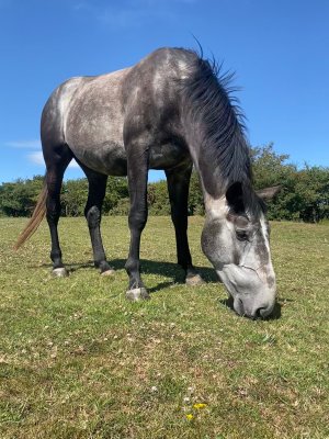 4d8920af-f1af-4ddd-a216-d7bdfde3cee6.jpeg 4d8920af-f1af-4ddd-a216-d7bdfde3cee6.jpeg