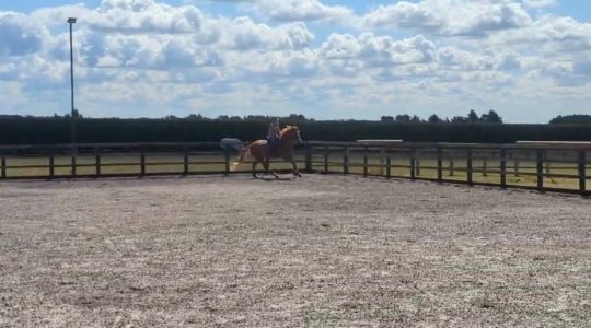 IMG_2753.jpeg IMG_2753.jpeg