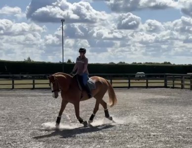 IMG_2673.jpeg IMG_2673.jpeg