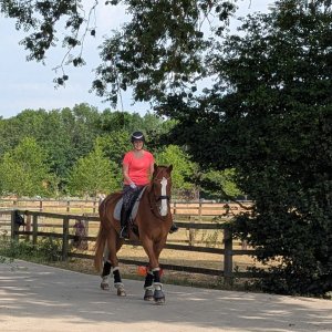 8421ADF2-4666-47B7-8FE2-8AC1CC326299.jpeg 8421ADF2-4666-47B7-8FE2-8AC1CC326299.jpeg