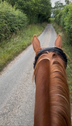 IMG_2754.jpeg IMG_2754.jpeg