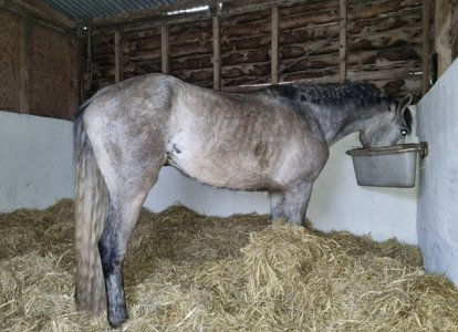 IMG_7079.jpeg IMG_7079.jpeg