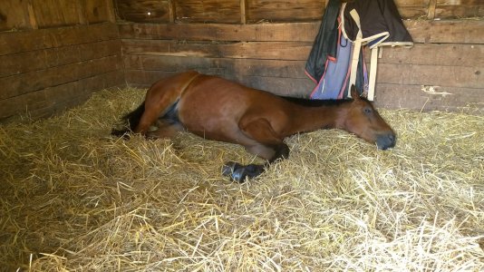 FB_IMG_1752078353828.jpg FB_IMG_1752078353828.jpg