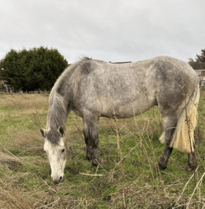 Screenshot 2025-07-09 at 21.49.52.png Screenshot 2025-07-09 at 21.49.52.png