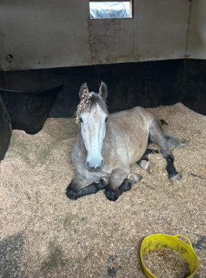 1752129872265.png 1752129872265.png