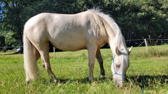 20250708_170641.jpg 20250708_170641.jpg