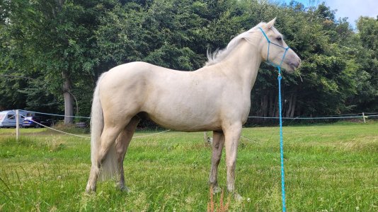 20250706_162449.jpg 20250706_162449.jpg