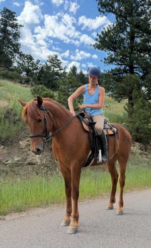 IMG_0255.jpeg IMG_0255.jpeg