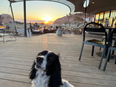 IMG_8263.jpeg IMG_8263.jpeg