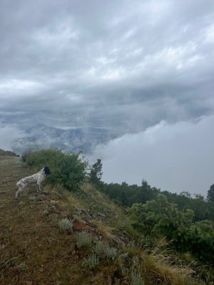 IMG_0011.jpeg IMG_0011.jpeg