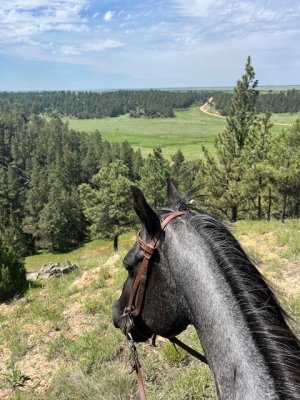 IMG_9896.jpeg IMG_9896.jpeg