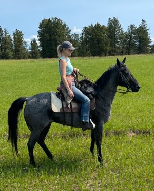 IMG_9721.jpeg IMG_9721.jpeg