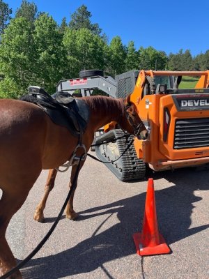 IMG_9566.jpeg IMG_9566.jpeg