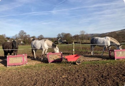 IMG_1146.jpeg IMG_1146.jpeg