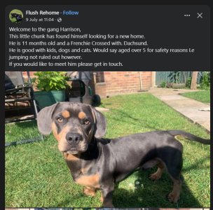 1752496308342.png 1752496308342.png