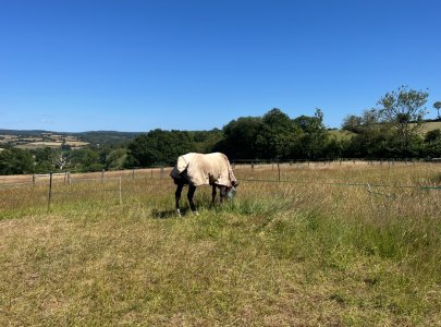 IMG_1720.jpeg IMG_1720.jpeg