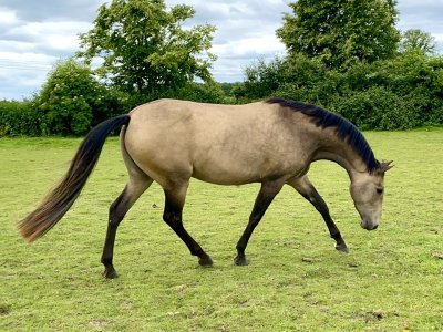 IMG_3068.jpeg IMG_3068.jpeg