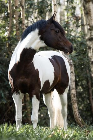 IMG_6149.jpeg IMG_6149.jpeg