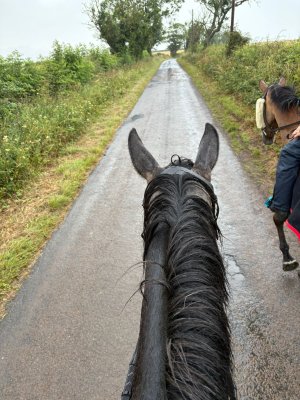 cbb56172-d97b-43ee-8020-a8ce182f22d5.jpeg cbb56172-d97b-43ee-8020-a8ce182f22d5.jpeg