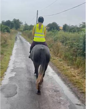 IMG_5471.jpeg IMG_5471.jpeg