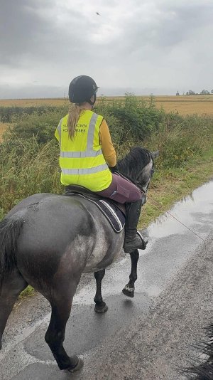 ebeab361-13f0-4cb1-9b88-e8e012c51333.jpeg ebeab361-13f0-4cb1-9b88-e8e012c51333.jpeg