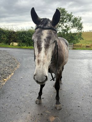 71adfc15-9671-41dc-8500-5a0c059fd677.jpeg 71adfc15-9671-41dc-8500-5a0c059fd677.jpeg