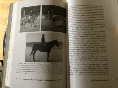 IMG_2703.jpeg IMG_2703.jpeg