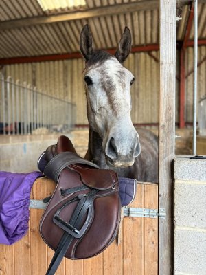 eda44ba6-901b-40bc-a2a5-0c424f6f1958.jpeg eda44ba6-901b-40bc-a2a5-0c424f6f1958.jpeg