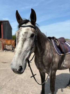 dd9892b2-ae81-41c9-9e22-592761a3c6aa.jpeg dd9892b2-ae81-41c9-9e22-592761a3c6aa.jpeg