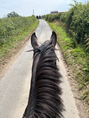 0f1a537c-6b12-406a-966b-5423a26db740.jpeg 0f1a537c-6b12-406a-966b-5423a26db740.jpeg