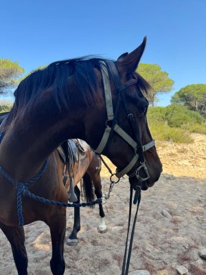 WhatsApp Image 2025-07-18 at 13.22.24 2.jpeg WhatsApp Image 2025-07-18 at 13.22.24 2.jpeg