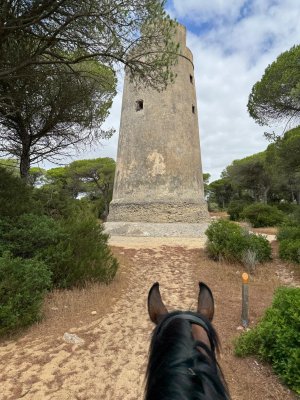 WhatsApp Image 2025-07-18 at 13.22.24.jpeg WhatsApp Image 2025-07-18 at 13.22.24.jpeg