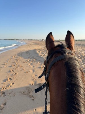 WhatsApp Image 2025-07-18 at 13.22.24 3.jpeg WhatsApp Image 2025-07-18 at 13.22.24 3.jpeg