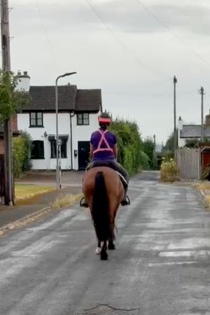 1000023159_0.png 1000023159_0.png