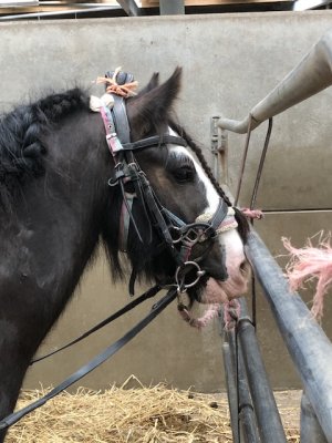 IMG_2802.jpeg IMG_2802.jpeg