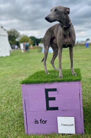 IMG_4232.jpeg IMG_4232.jpeg