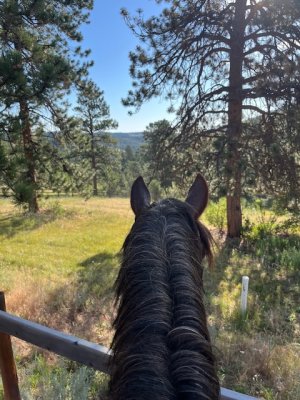 IMG_0486.jpeg IMG_0486.jpeg