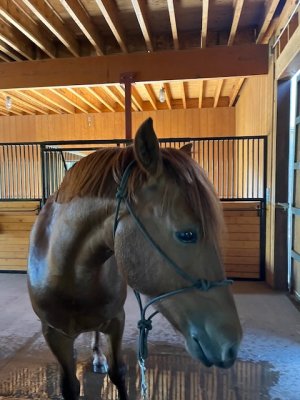 IMG_0507.jpeg IMG_0507.jpeg