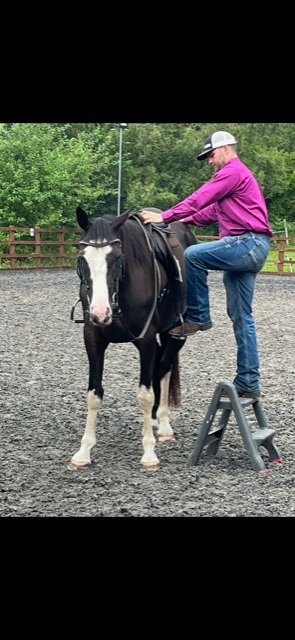 C8B910E0-65D4-4D2D-A61E-68277BD420B3.jpeg C8B910E0-65D4-4D2D-A61E-68277BD420B3.jpeg