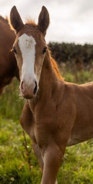 520868012_24087433334243421_640414700250075567_n.jpg 520868012_24087433334243421_640414700250075567_n.jpg