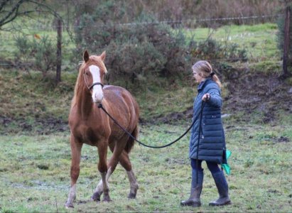 520505186_24087438674242887_3408633784742586509_n.jpg 520505186_24087438674242887_3408633784742586509_n.jpg