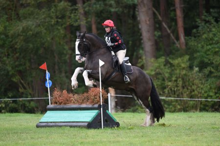 260725-1.100 copy.jpeg