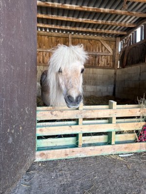 IMG_6403.jpeg IMG_6403.jpeg