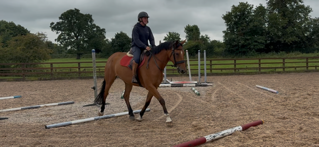 IMG_9923.png IMG_9923.png