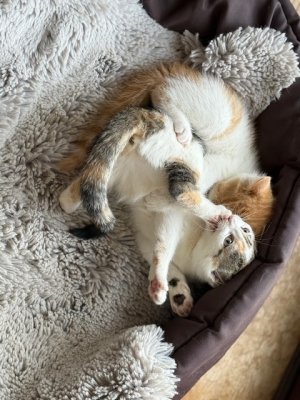 IMG_2022.jpeg