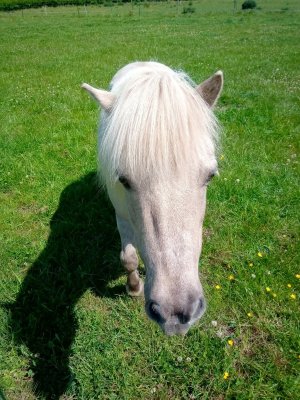 FB_IMG_1753874843410.jpg FB_IMG_1753874843410.jpg